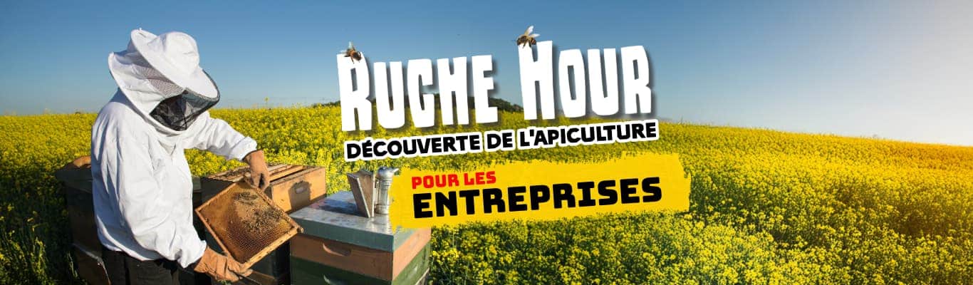 ruche hour entreprise artv2